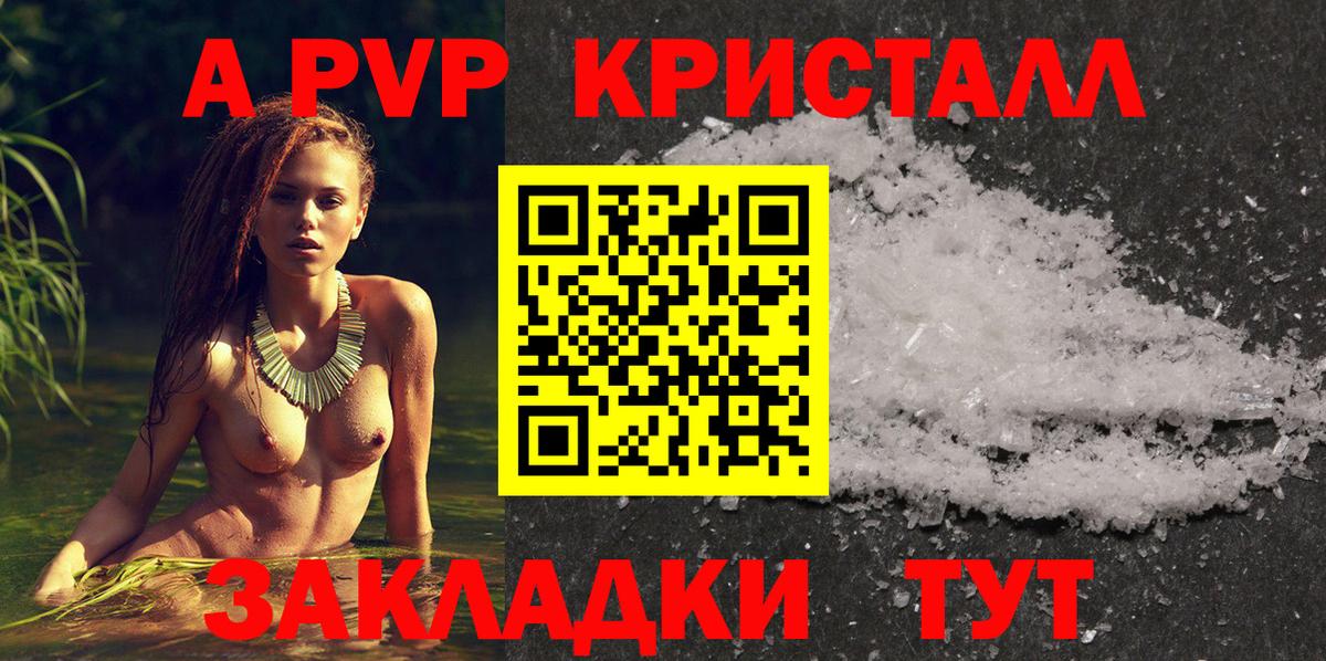 Майкоп  Alpha PVP  Вход с VPN  APVP СК КРИС 