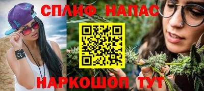 индика Ирбит