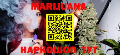 индика Ирбит