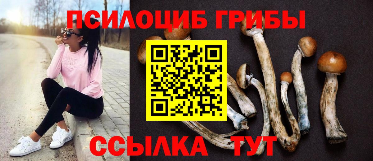 Псилоцибиновые грибы прущие грибы Майкоп