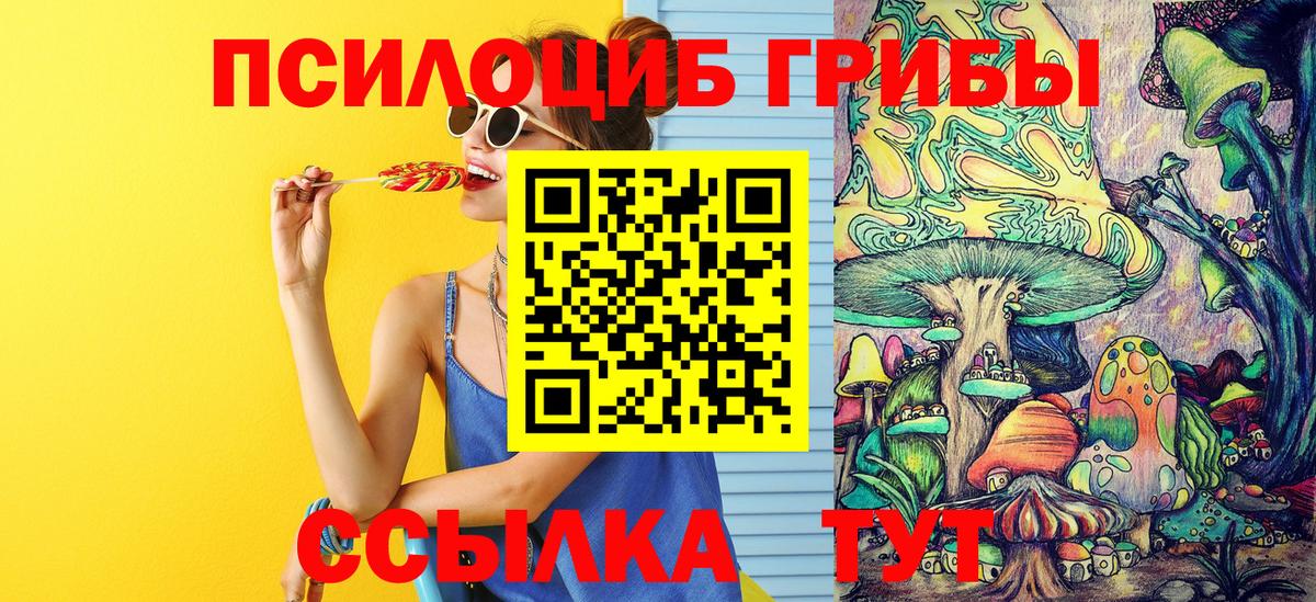 Майкоп  Псилоцибиновые грибы мухоморы  Вход с VPN 