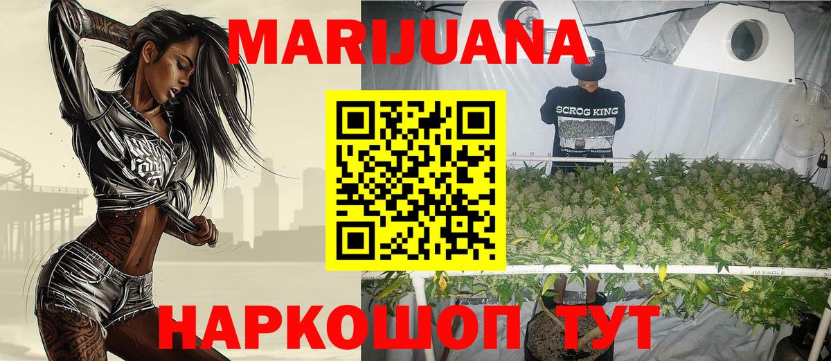 Каннабис гибрид Майкоп